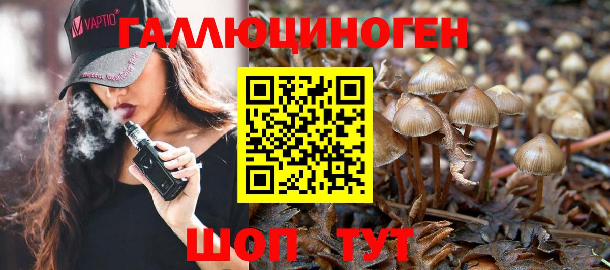 Галлюциногенные грибы ЛСД Славянск-на-Кубани