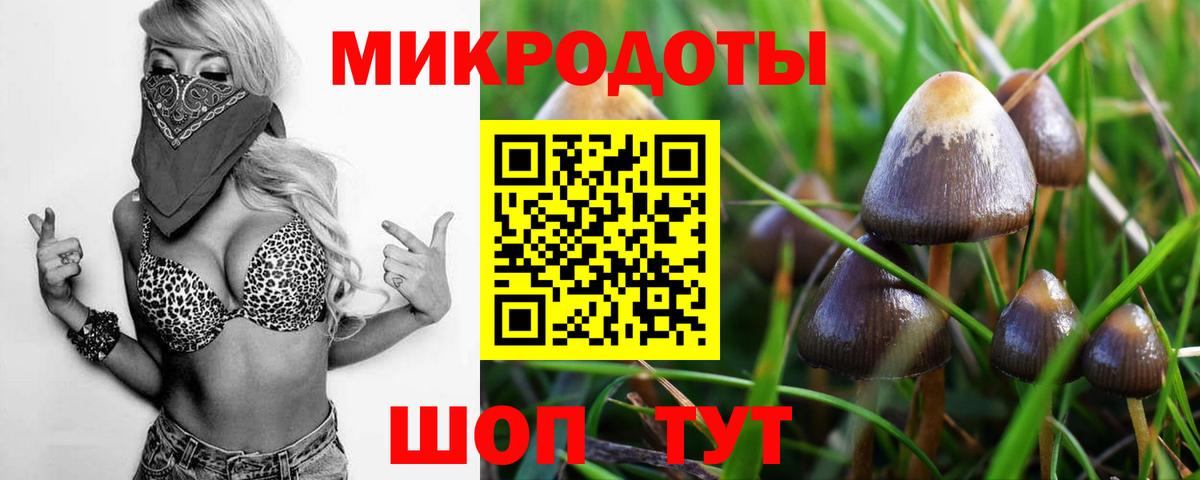 Галлюциногенные грибы Cubensis  Галлюциногенные грибы мухоморы  Славянск-на-Кубани  Вход с VPN 